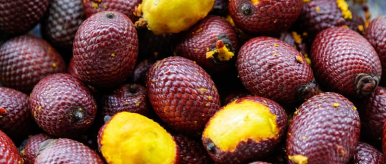 Le fruit du buriti, avec une chair jaune et une coque rouge
