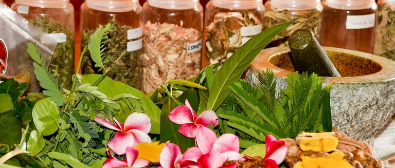 Des plantes séchées dans des bocaux sur une table