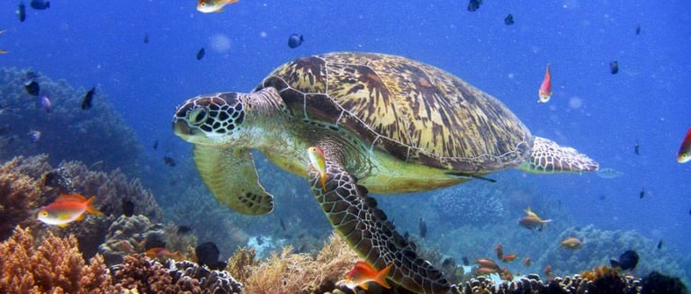 coron island palawan philippines