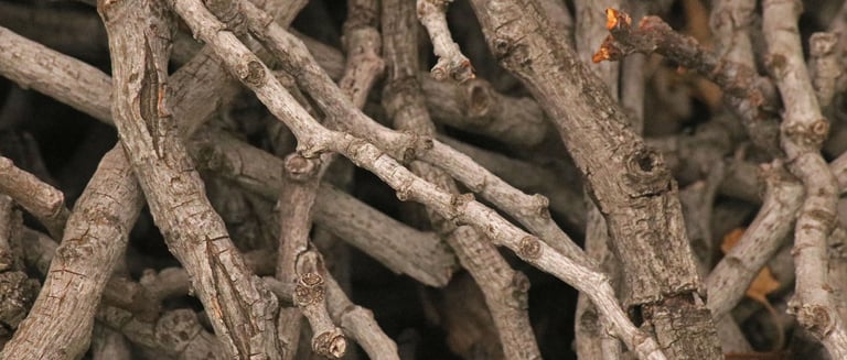 wooden branches