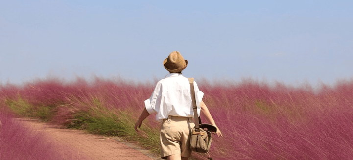 Woman in Lavender Field