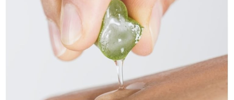 La salud nace en tu mente la naturaleza la manifiesta