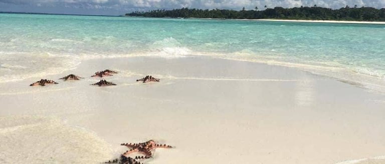 Starfish 3D2N Expedition Balabac Palawan