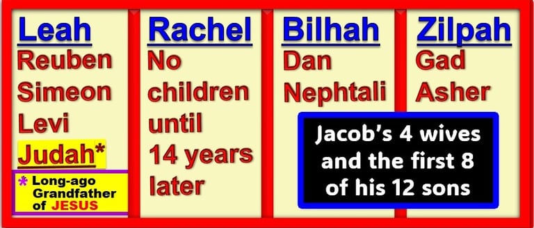 Jacob’s 4 wives and the full list of his 12 sons & 1 daughter.