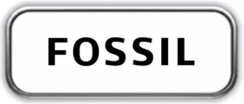 Fossil Joias e Relogios Link Autorizado