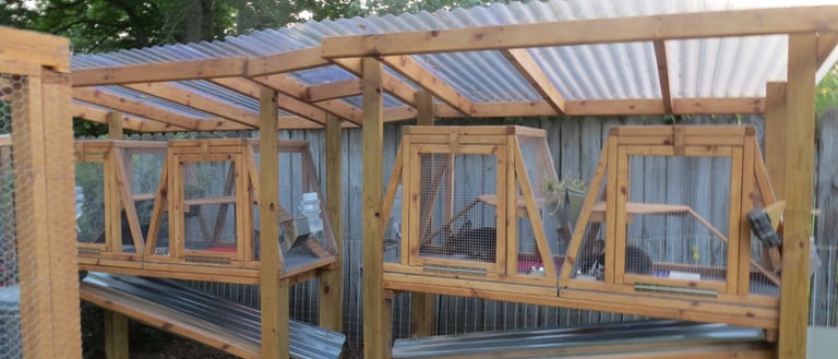 Rabbits in a hutch