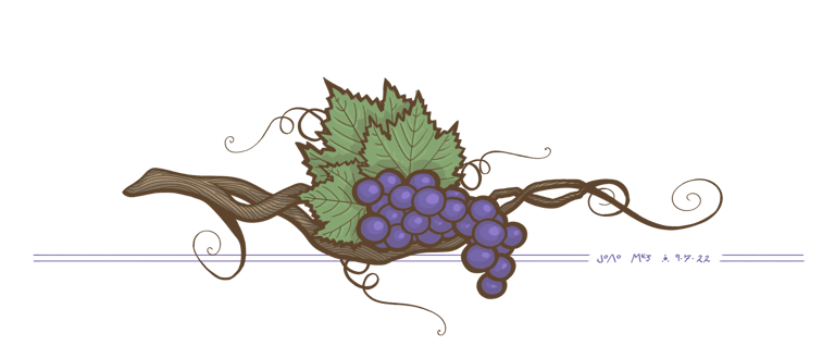 Ilustração de João Marquezini, cacho de uvas maduras e doces