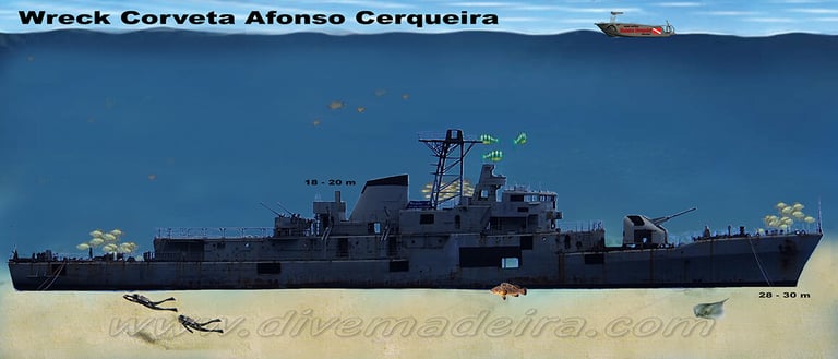 F488 Afonso Cerqueira Wreck, Madeira