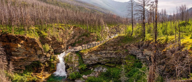 Blakiston Falls cascading through a rocky canyon in Waterton Lakes National Park, Alberta.