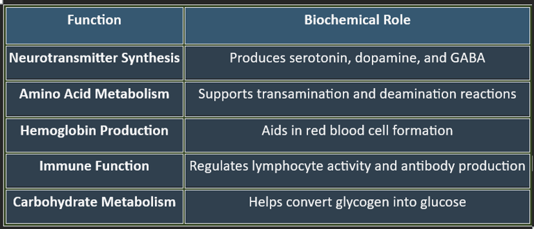 Pyridoxine_functions