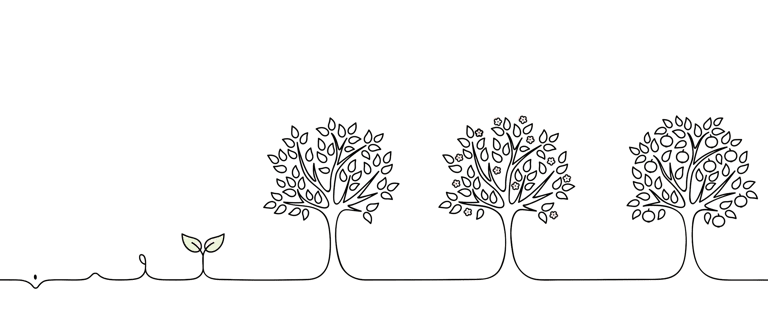 arbre renaissance evolution germination fleurir grandir croitre travail thérapies brèves