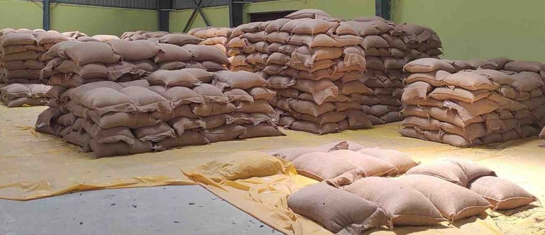 “Bulk packaging of export-grade maize in large PP or jute bags”