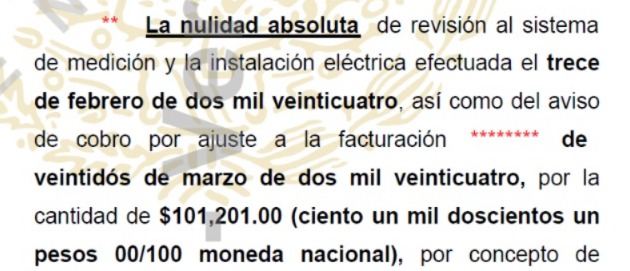 Imagen de un texto acerca de la nulidad de una demanda