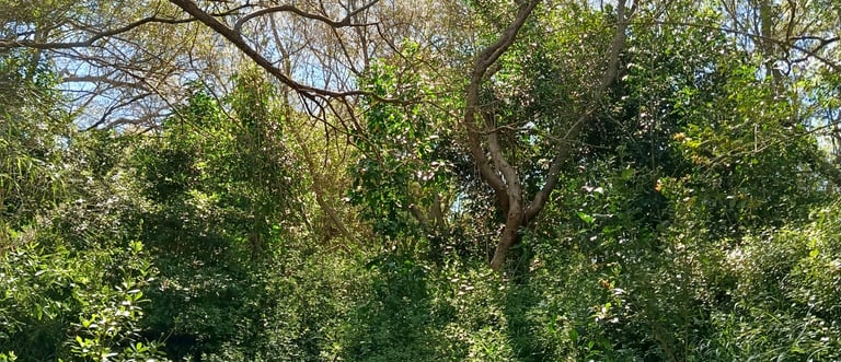 thérapie psychocorporelle à Rezé