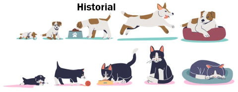 Historial de mi Amigo