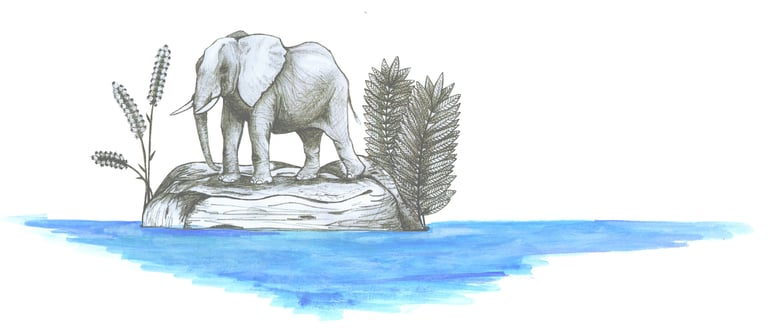Draw of an elephant in an island, by Blanca Moncunill-Solé CC BY-NC-ND 4.0