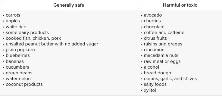 A comparison chart of generally safe and harmful or toxic foods for dogs including chocolate and xylitol.