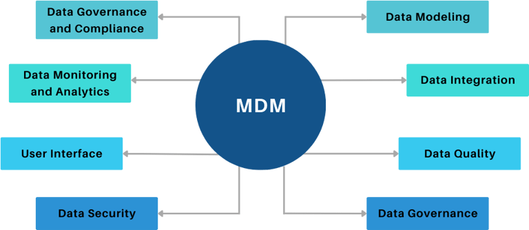 Master Data Management