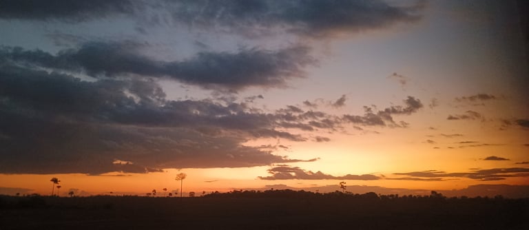 céu de Rondônia- anoitecer