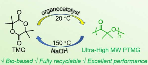 Graphical abstract showing synthesis of ultrahigh-molecular-weight PTMG