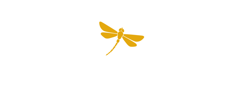 Focus Stress - Transformation et libération du stress femmes actives à Boulogne Paris