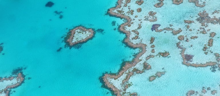 The Great Barrier Reef