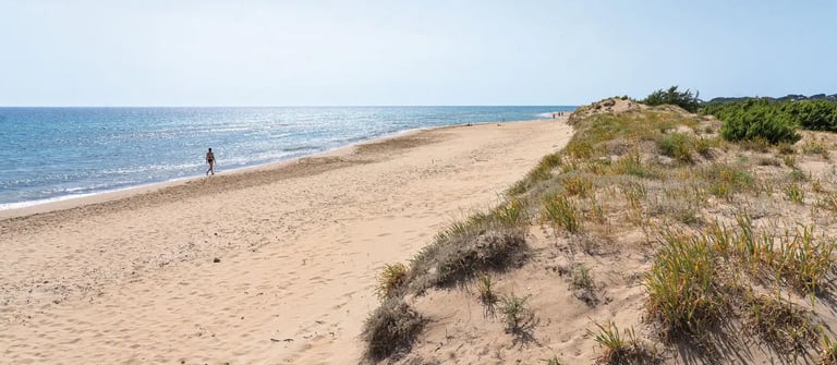 Halikounas Beach Korfu Villa Olivia Pentati