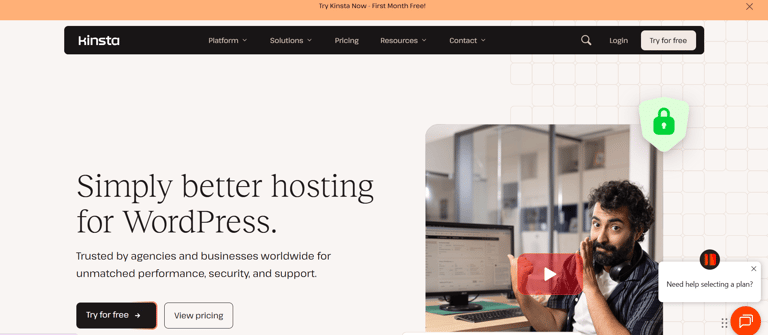 kinsta web hosting software review