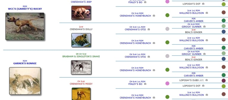 Pit Stop Kennel & Yankee Boy's Ch Mechanic ROM Pedigree