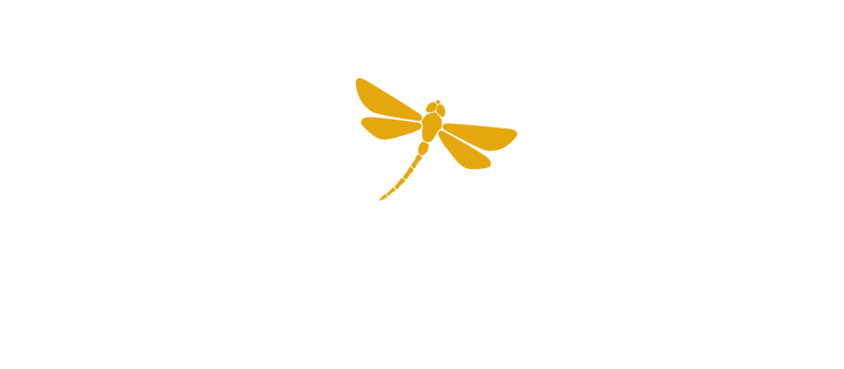 Focus Stress - Transformation et libération du stress femmes actives à Boulogne Paris