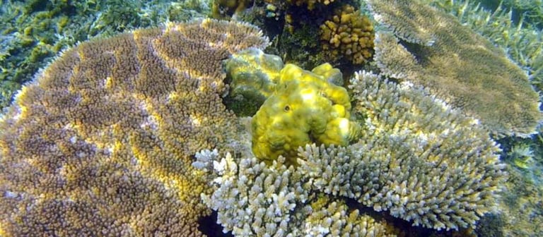 Balabac Island Philippines