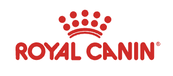 a dog is shown in front of a white background