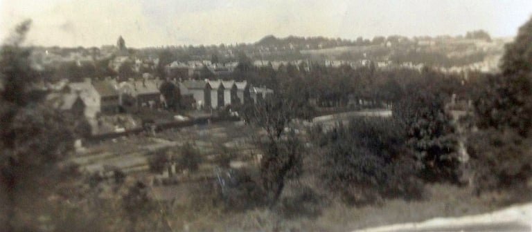 Pigs Hill and Charity Farm Allotments, Tunbridge Wells TN1 2LE