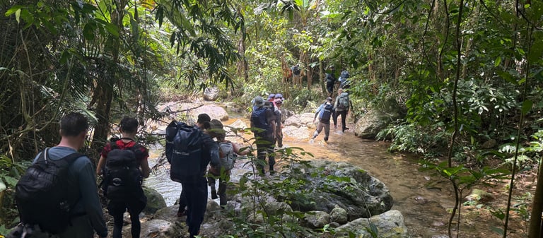 trek through the Ke Bang national park jungle to get to Hang son doong cave