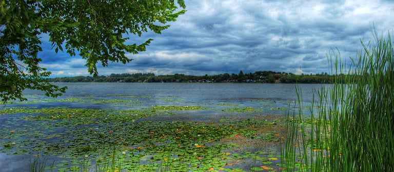 A large wetland evaluated in Ontario by Environmental Consultants at Aster Environmental.