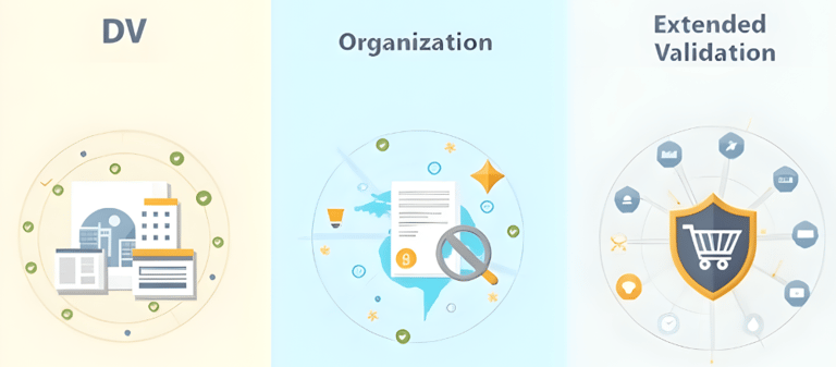 DV, organizasyon ve Extended sertifikalarını gösteren bir görsel