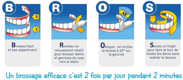Méthode BROS pour un brossage des dents optimal