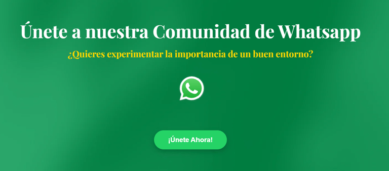 foto ejemplo web prfitness