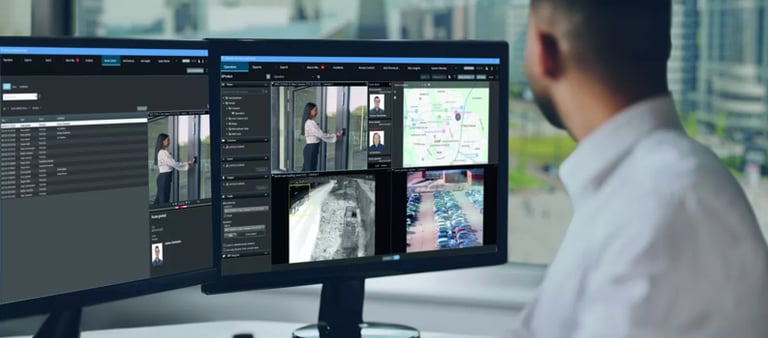 La importancia de un control de acceso y la videovigilancia.