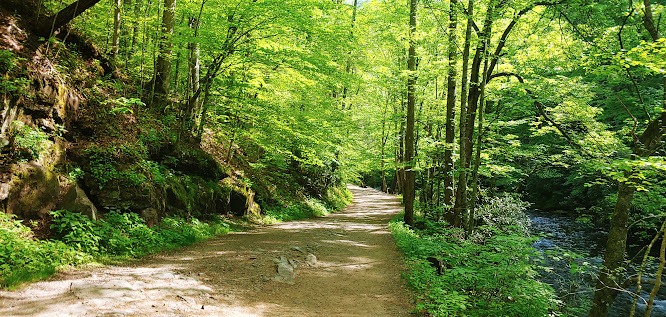 Smoky Mountains, N. Carolina Travel - Past Tom Branch Falls on the Deep Creek Trail