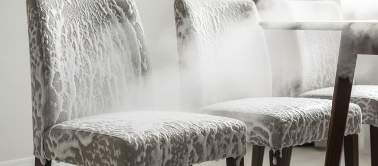 Terraura yerinde sandalye yıkama hizmeti Antalya