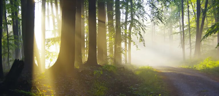 Gestalt et enseignement, thérapie pour enseignants