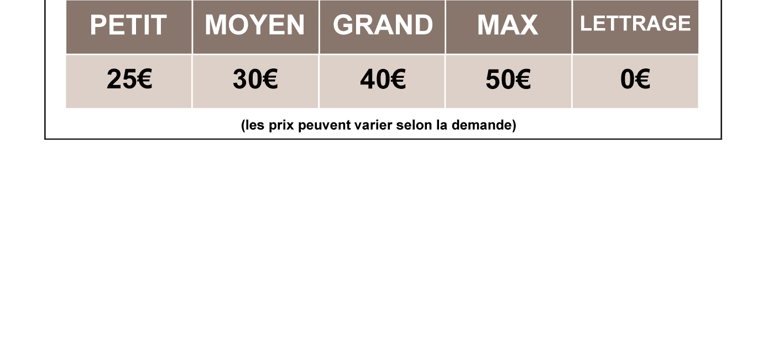 prix de la digitalisation