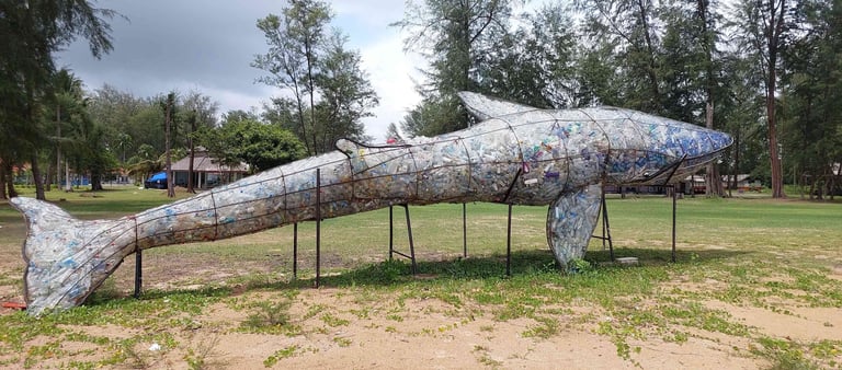 thailand khao lak turtle conservation centre beach whale