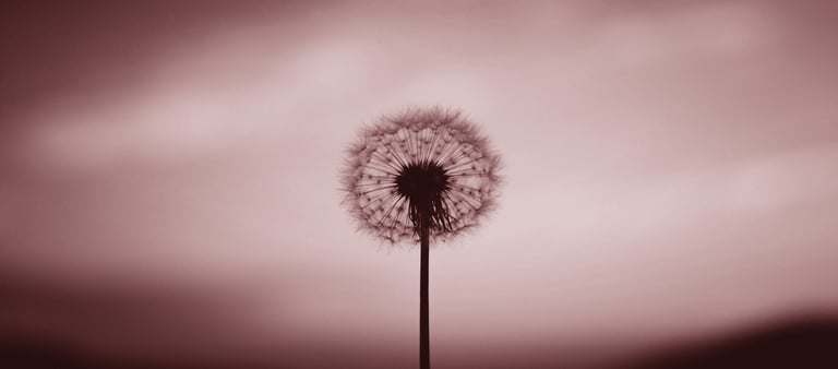 Image credit: Aleksandr Ledogorov from Unsplash