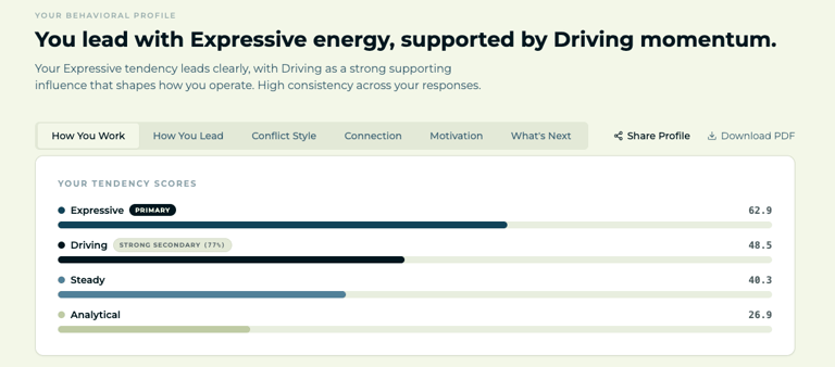 Behavioral profile assessment results showing high expressive and driving tendency scores on a dashboard.