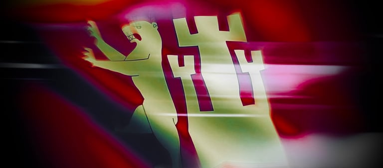 Fredrikstad Kommune , Salah Al-Saadi, Fredrikstad SV,  Fredrikstad Kommune, bystyret Fredrikstad kommune, Styrer