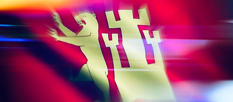 Fredrikstad Kommune , Salah Al-Saadi, Fredrikstad SV,  Fredrikstad Kommune, bystyret Fredrikstad kommune, Styrer