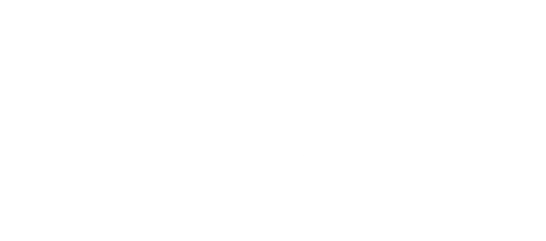 Logo surrounded with six categories ie Joy and Play, Energy & Vitality, Purpose & Meaning
