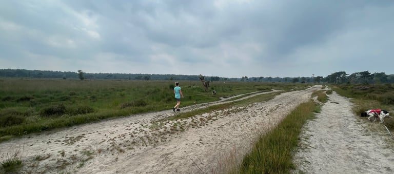 Kalmthoutse Heide, Belgium